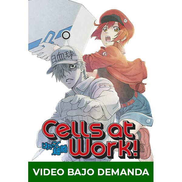 Cells at Work! (Hataraku Saibou) - Web oficial en español - Coalise Estudio