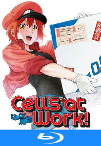 Cells at Work! Vol1 Blu ray
