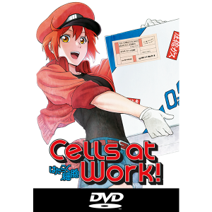 Cells at Work! Volumen 1 DVD