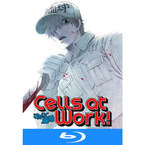 Cells at Work! Volumen 2 Blu ray