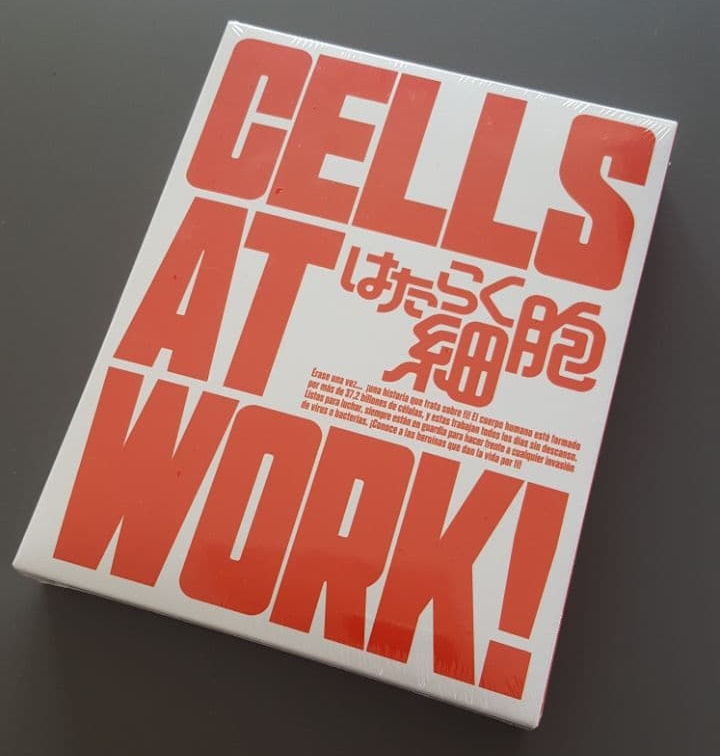 Cells at Work! (Hataraku Saibou) - Web oficial en español - Coalise Estudio